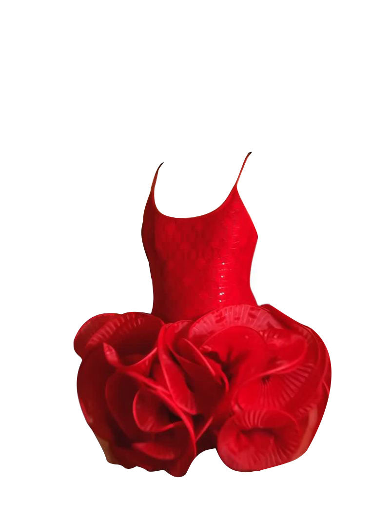 Giselle A-line Flower Applique Mini Dress - Hot fashionista