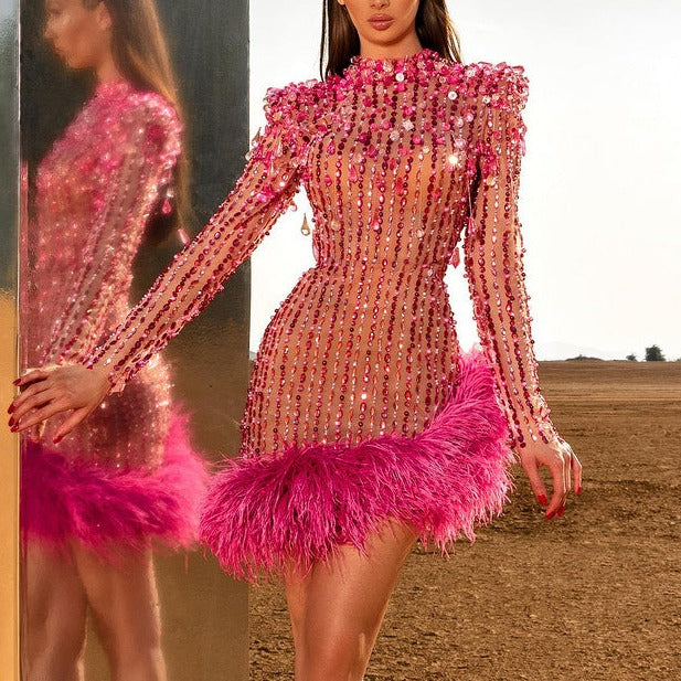 Keyla Sheer Feather Long Sleeve Dress - Hot fashionista