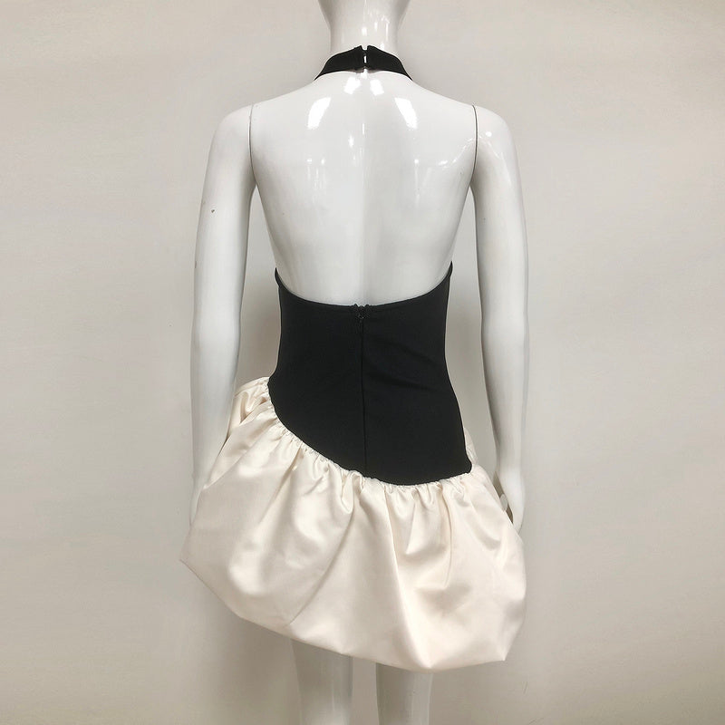 Salem Contrast Rose Mini Dress - Hot fashionista