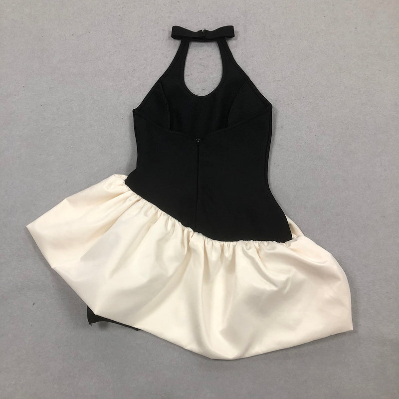 Salem Contrast Rose Mini Dress - Hot fashionista