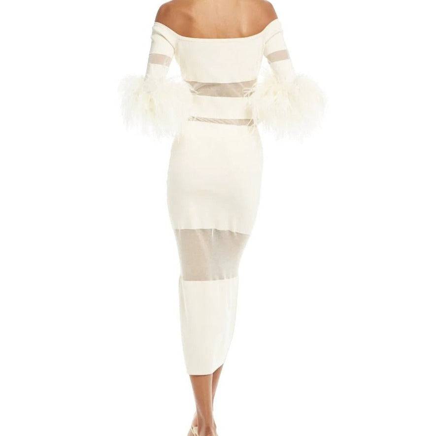 Lana Long Sleeve Feather Midi Dress - Hot fashionista