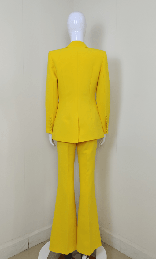 Diora Solid Pants Set - Hot fashionista