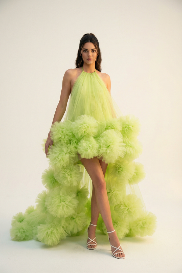 Veronica Pompoms Tulle Dress